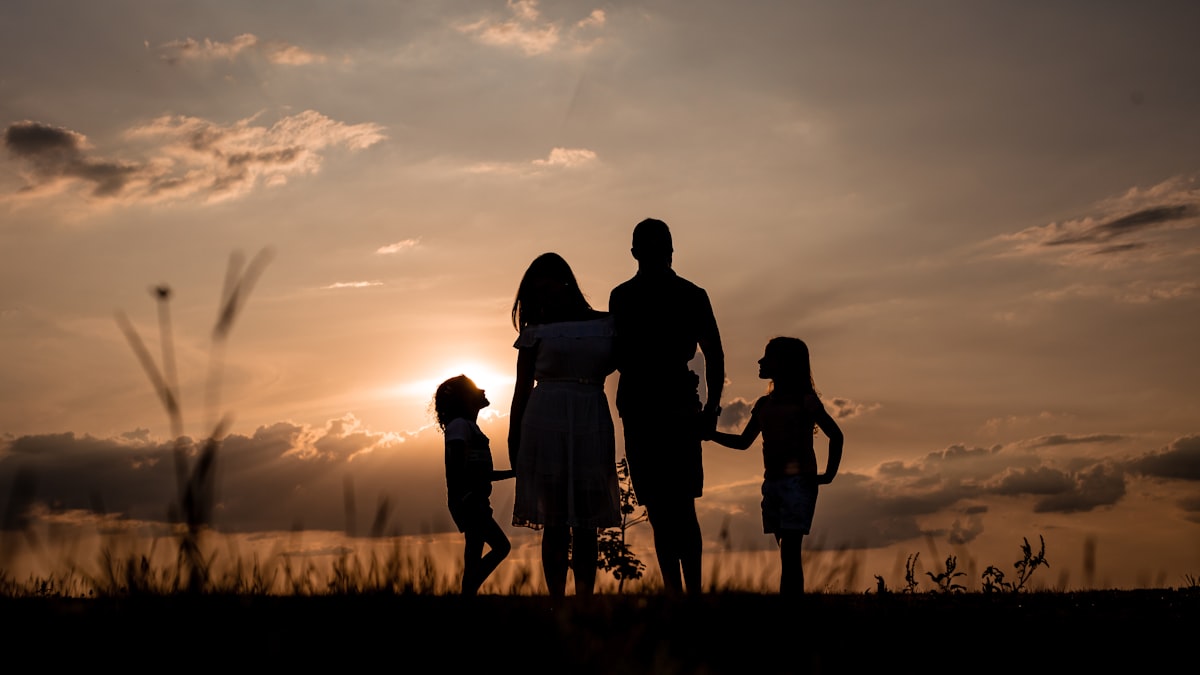 STF valida suspensão diretório partidário por falta de prestação de contas: impactos no Direito de Família