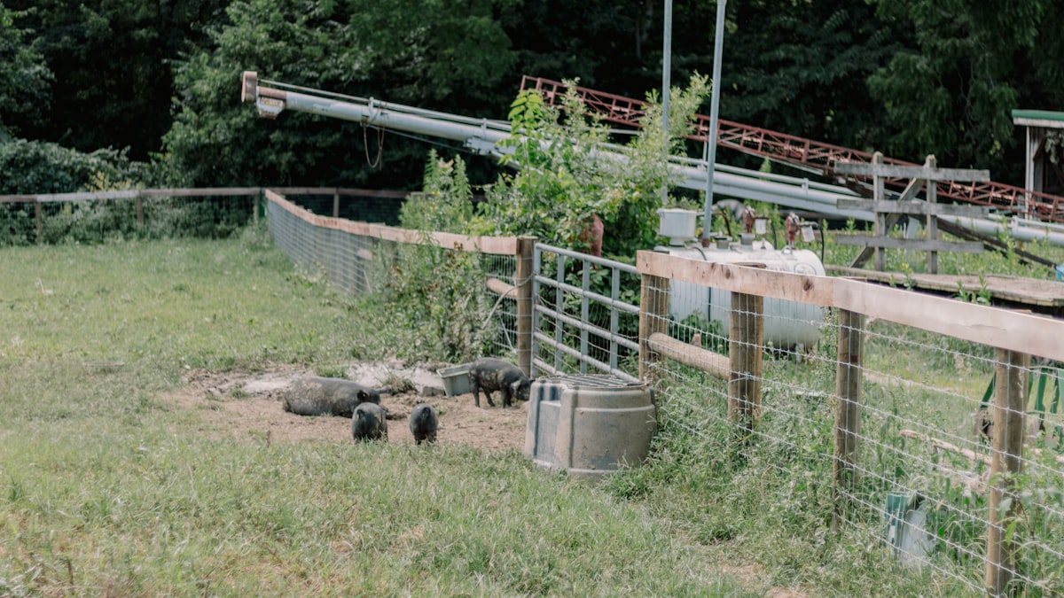 Família em propriedade rural com vegetação preservada