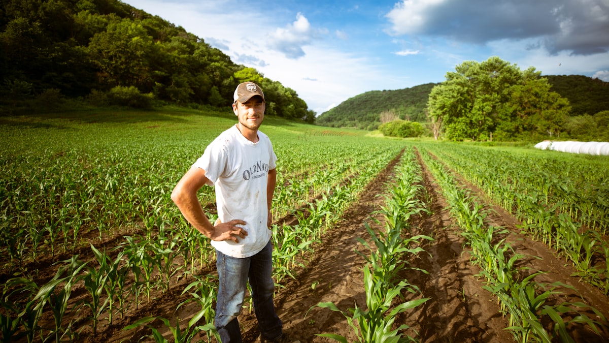Produtor rural avaliando plantações danificadas após seca