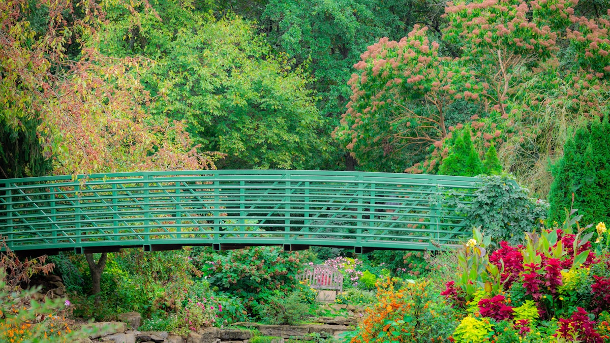Ponte de madeira em parque com sinalização de área interditada