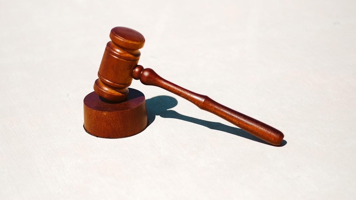 Advogado criminalista preparando sustentação oral para audiência de custódia