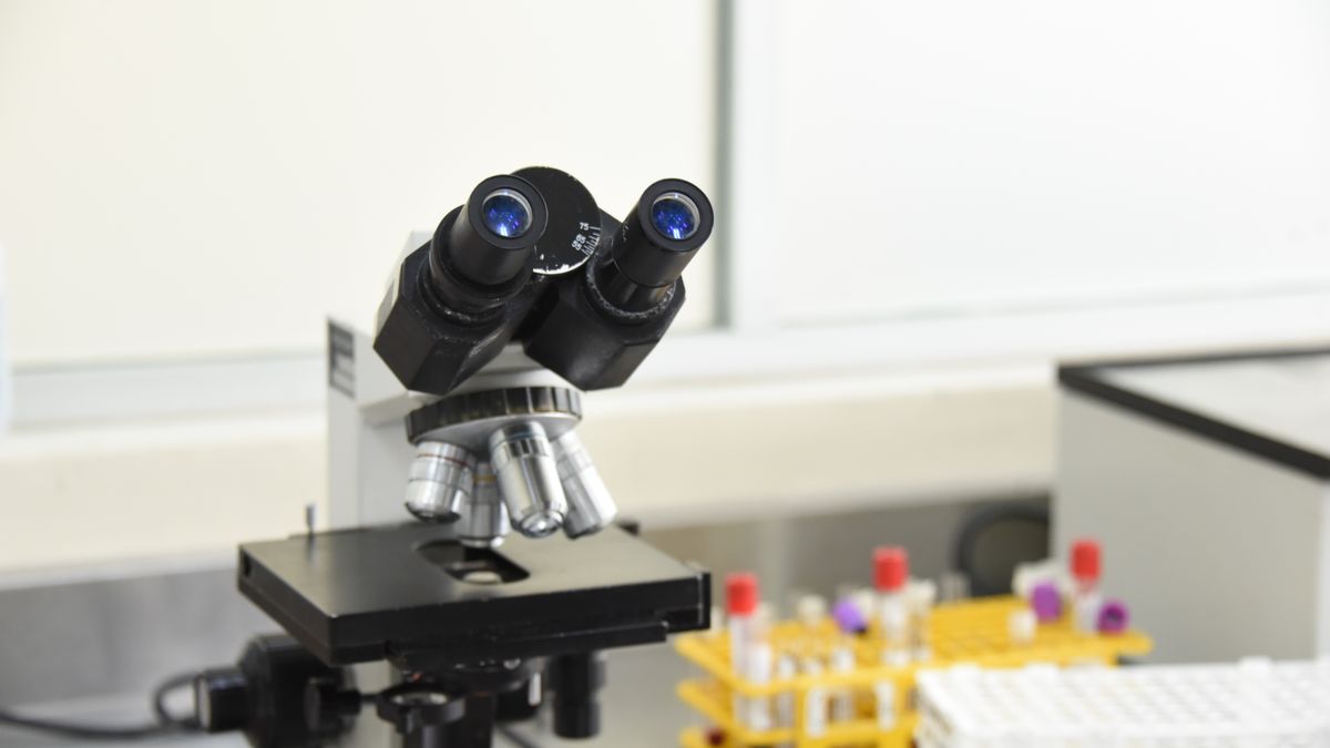 Peritos analisando evidências digitais em laboratório com múltiplas telas