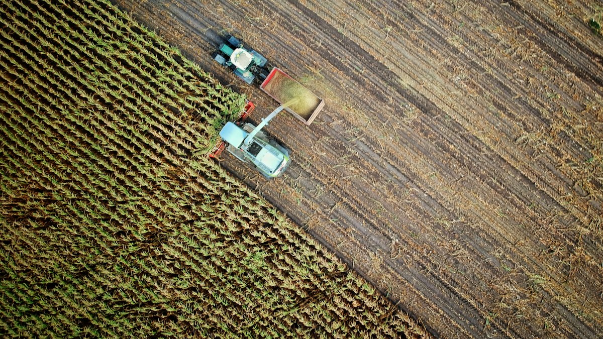 Documentos financeiros do agronegócio com garantias e cessões
