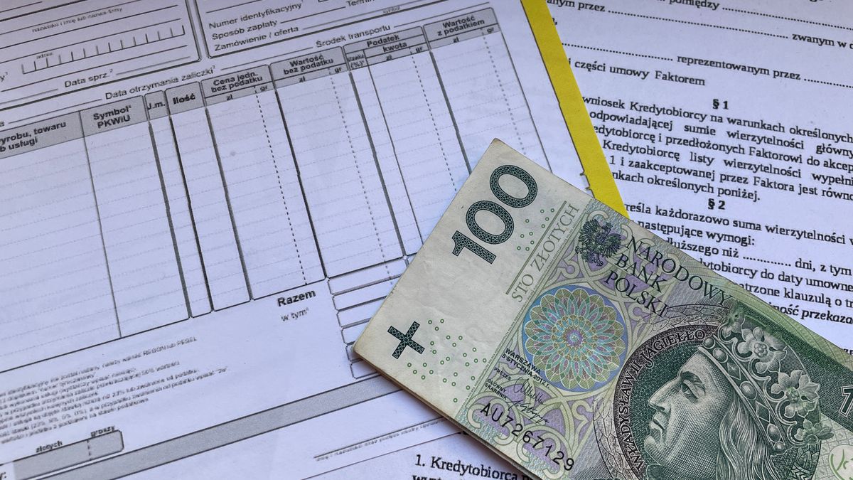 Profissional confere nota fiscal eletrônica com foco em créditos fiscais